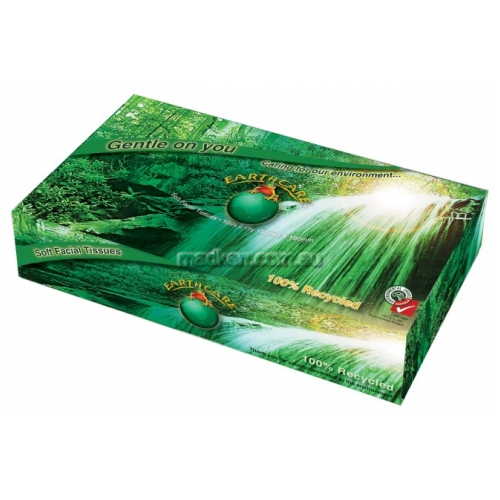 Facial Tissue 100 Sheet Recycled