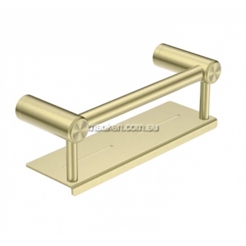 NRCR251 Rail with Shelf